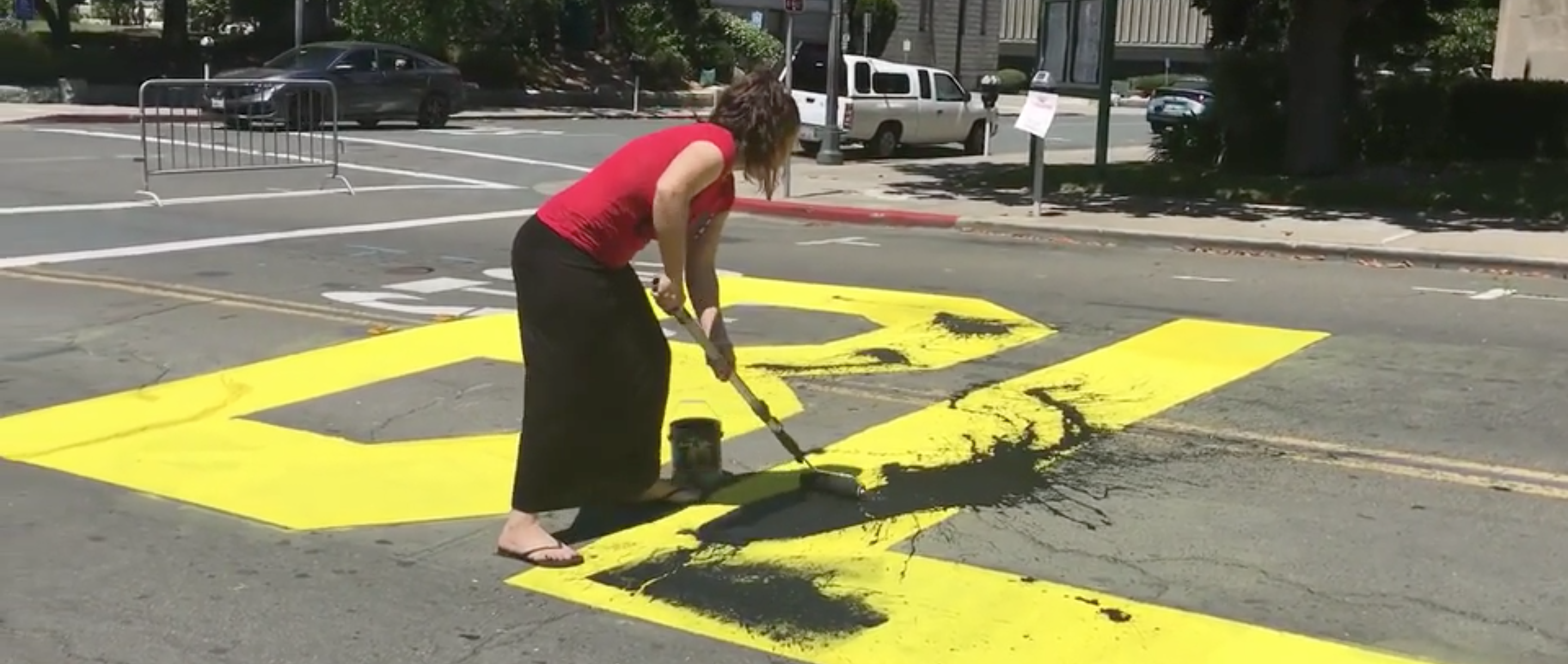 Woman Armed With Hockey Stick Charges Black Lives Matter Protesters Who Were Laying Down In The Road