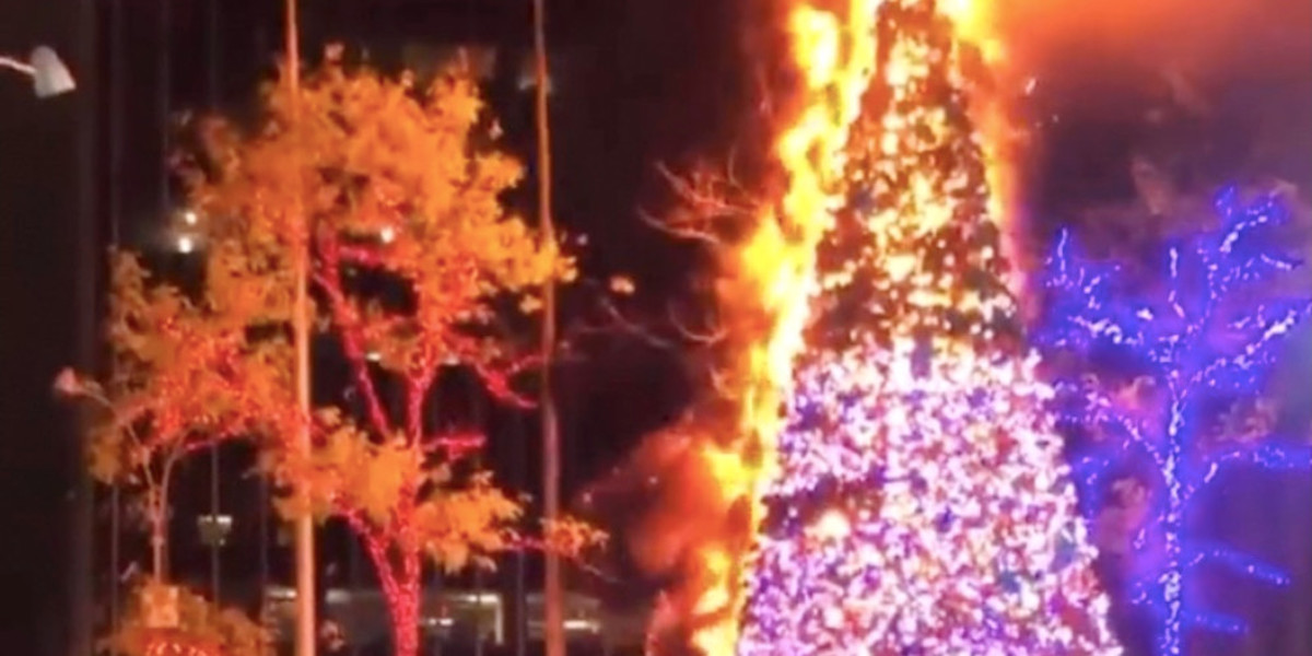 Homeless Man Charged With Setting Fox Christmas Tree Ablaze Released Without Bail