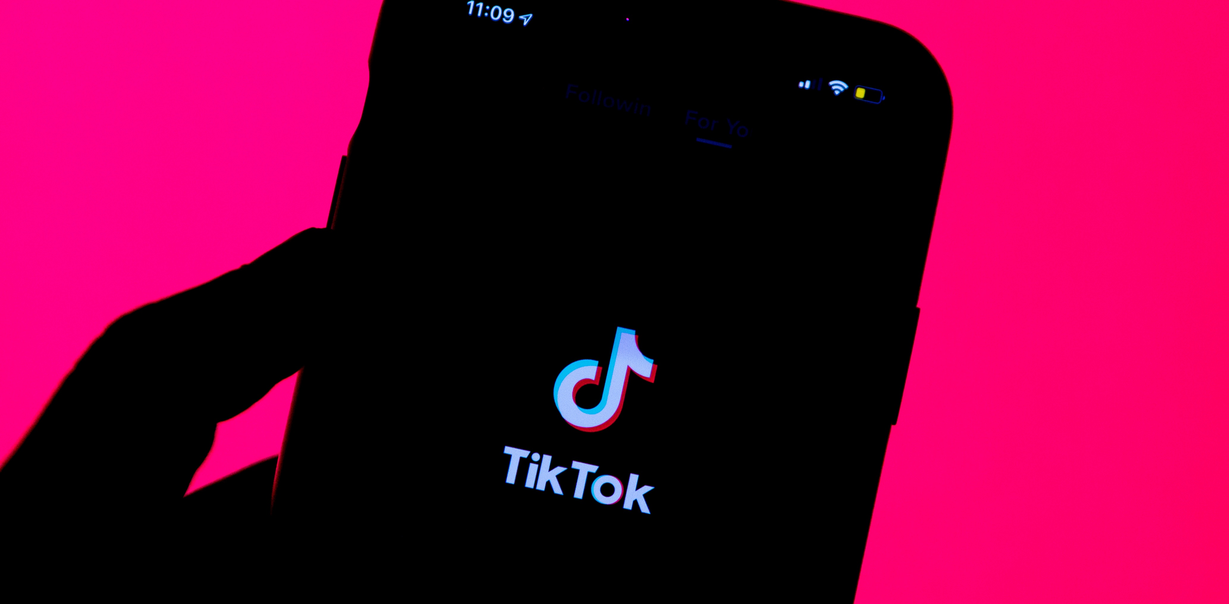 Powerful Dems Trying To Pump The Brakes On TikTok Bill Have Former Staffers Lobbying For The App