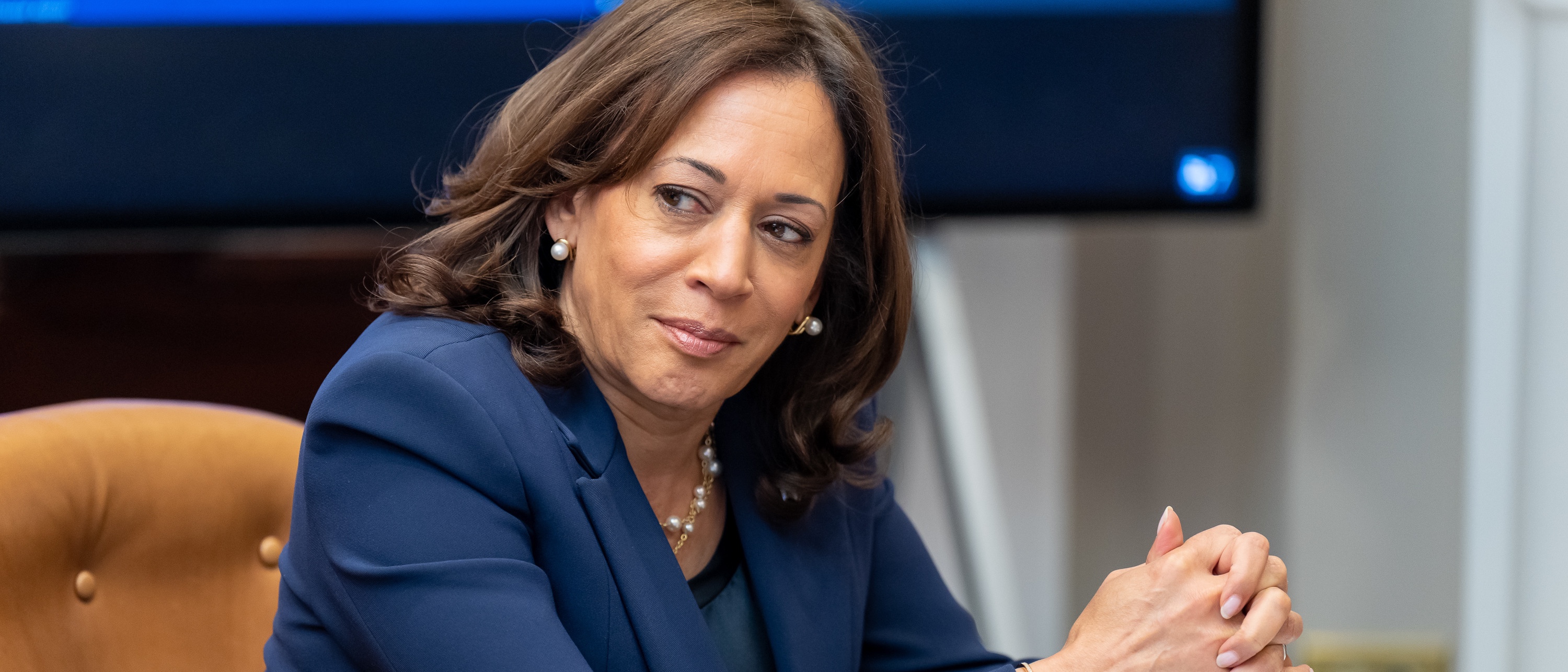 ‘A Lot Of Chaos’: Former Harris Campaign Co-Chair Expresses Excitement As Biden Passes The Torch