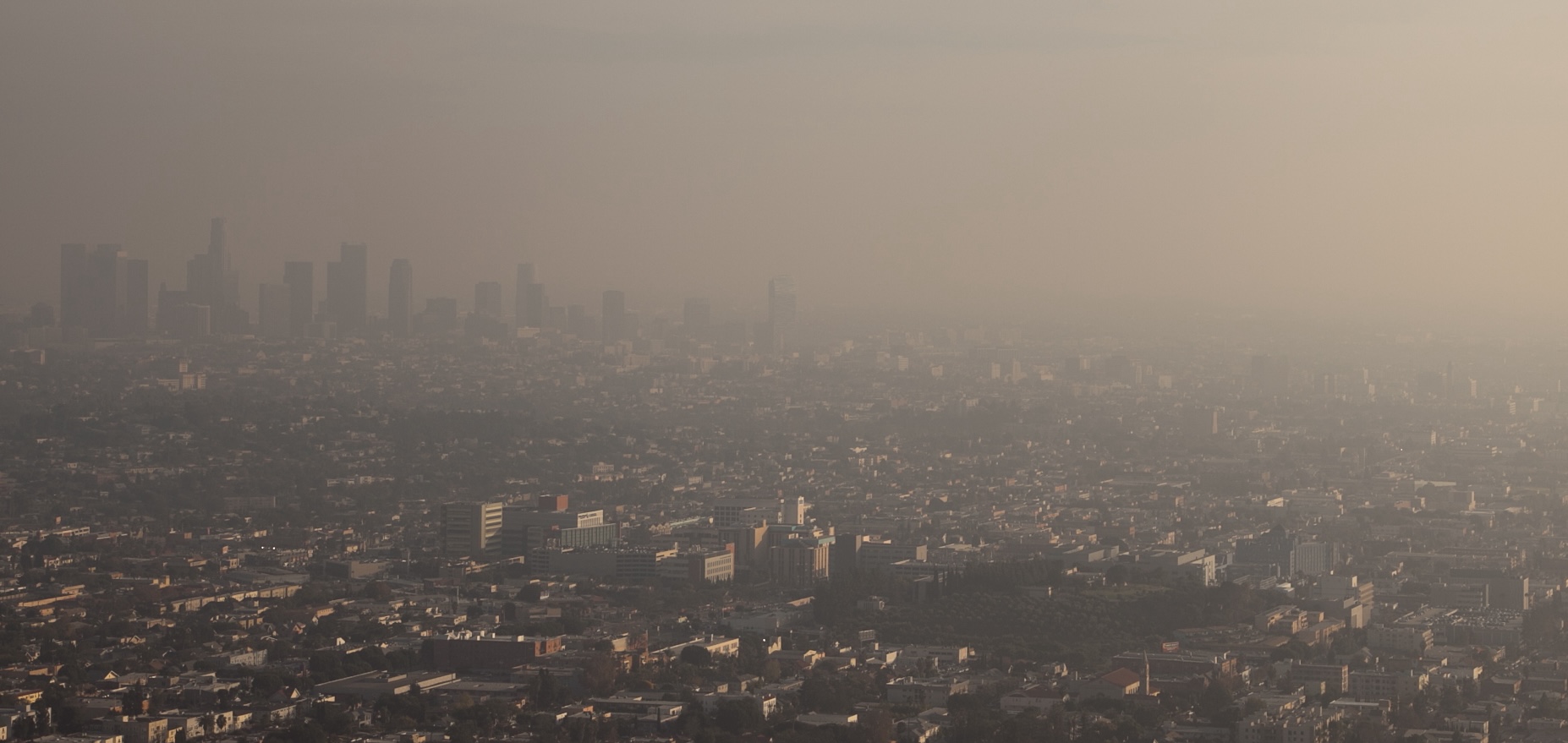 Los Angeles Grapples With Budget Crisis, Public Safety Concerns As Residents Flee In Droves