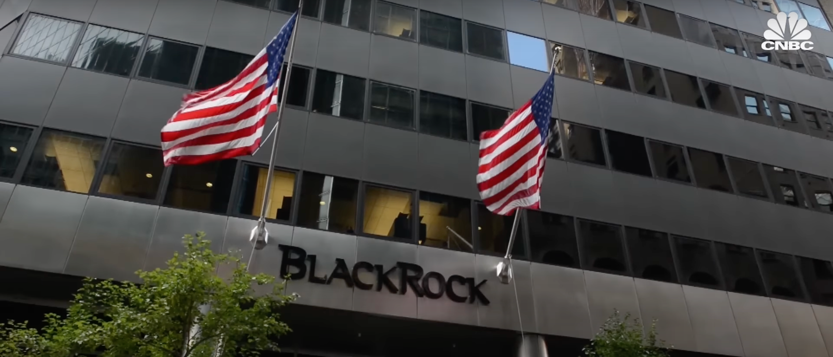 Red State Slaps Wall Street Titan With Cease And Desist Order Over ‘Fraudulent’ Claims About Green Investments