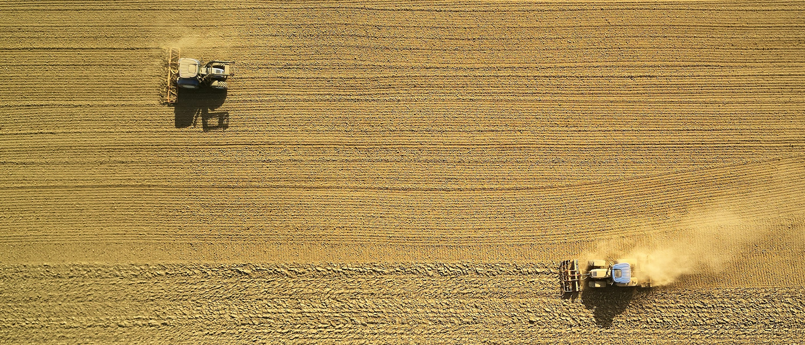 US Wheat Farmers Stare Down Huge Losses As Foreign Goods Flood Market