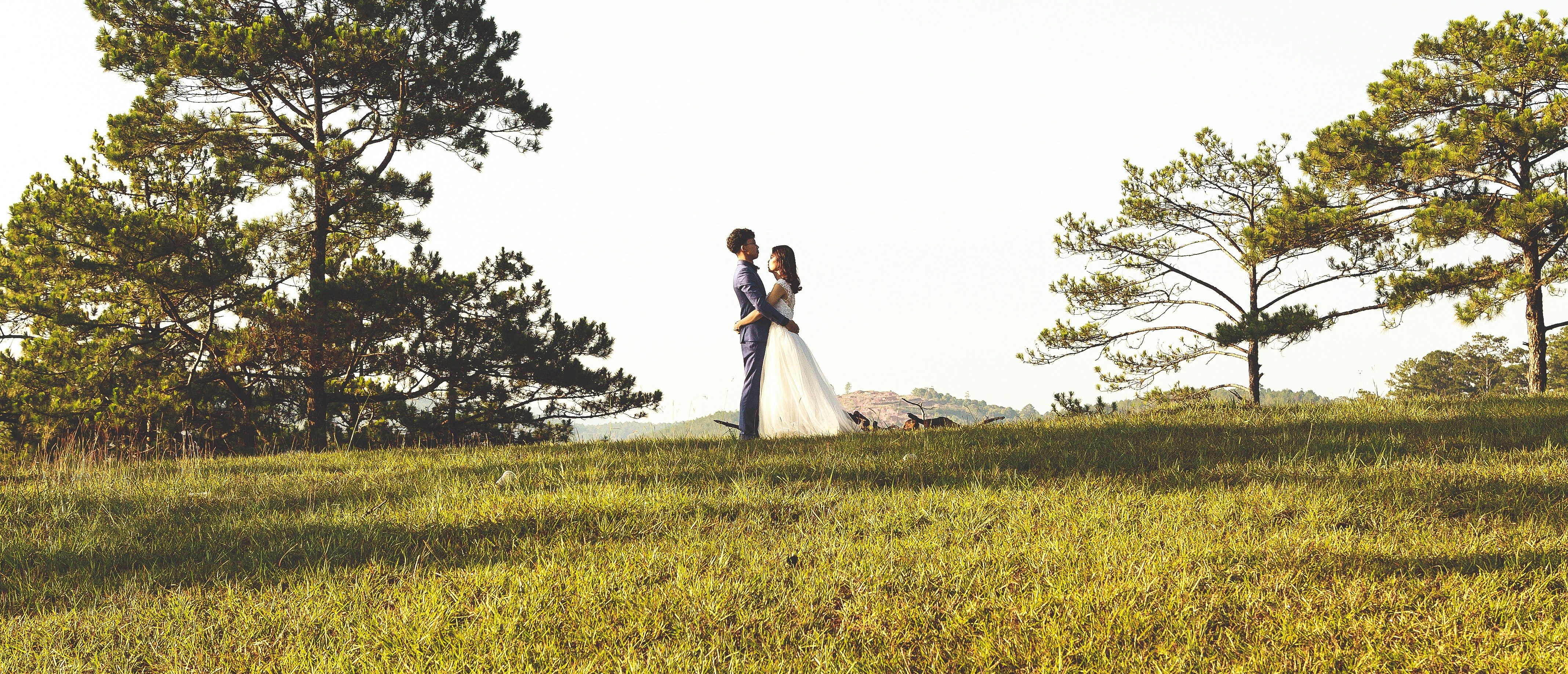 Bin Thiều/Unsplash