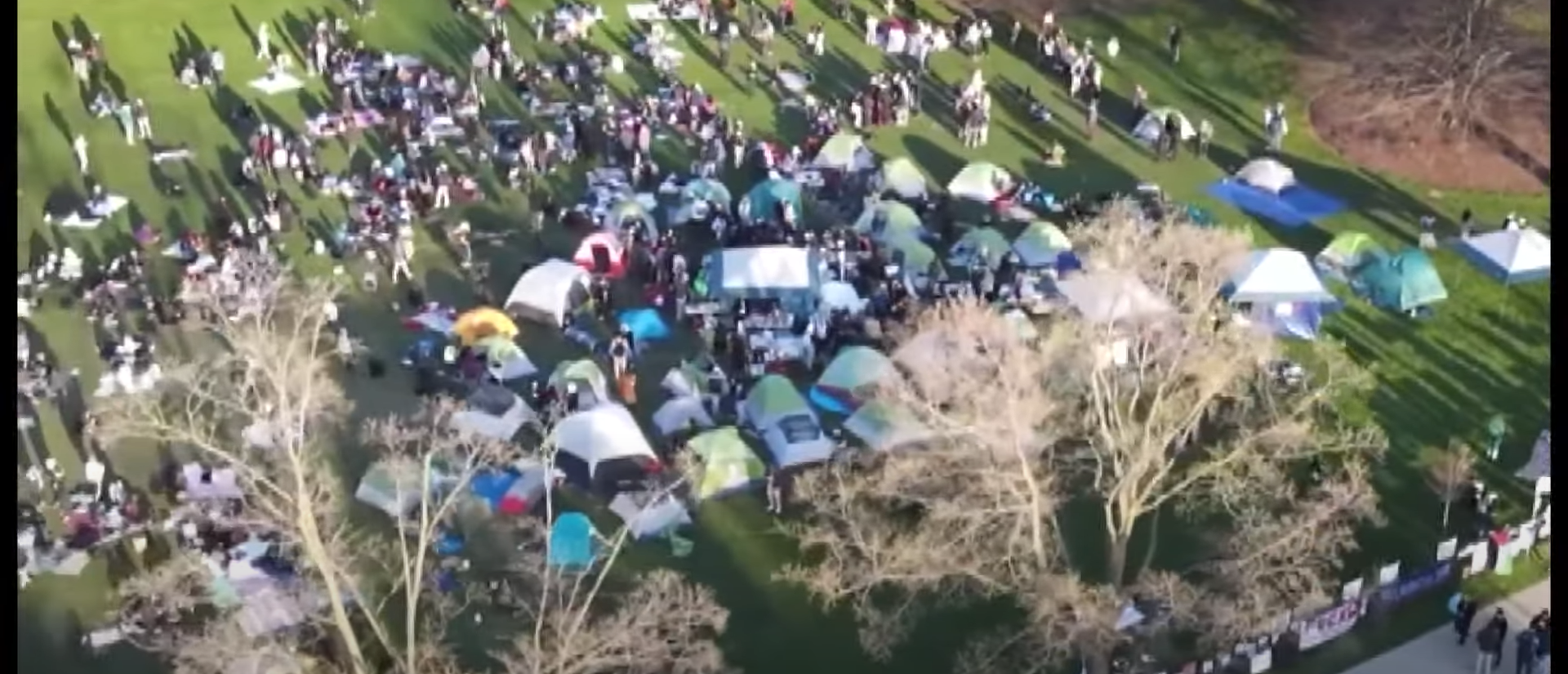 Elite University Profs Hit With Obstruction Charges Months After Pro-Palestinian Protests 