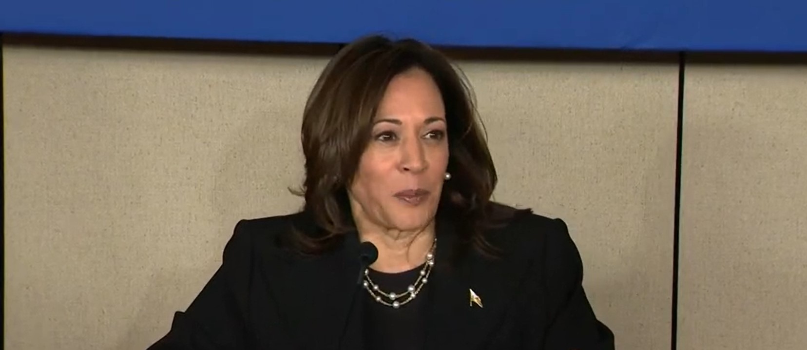 Harris Campaign Mum About Whether She Still Wants To Foist ‘Climate’ Tax On Americans