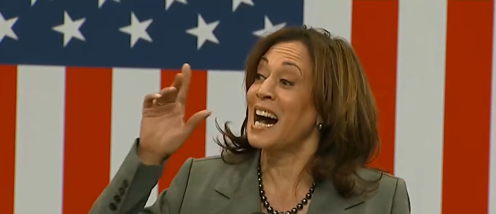 Family Policy Org Says Kamala Harris’ Record Defending Child Sex Changes Makes Her The ‘Weird’ One