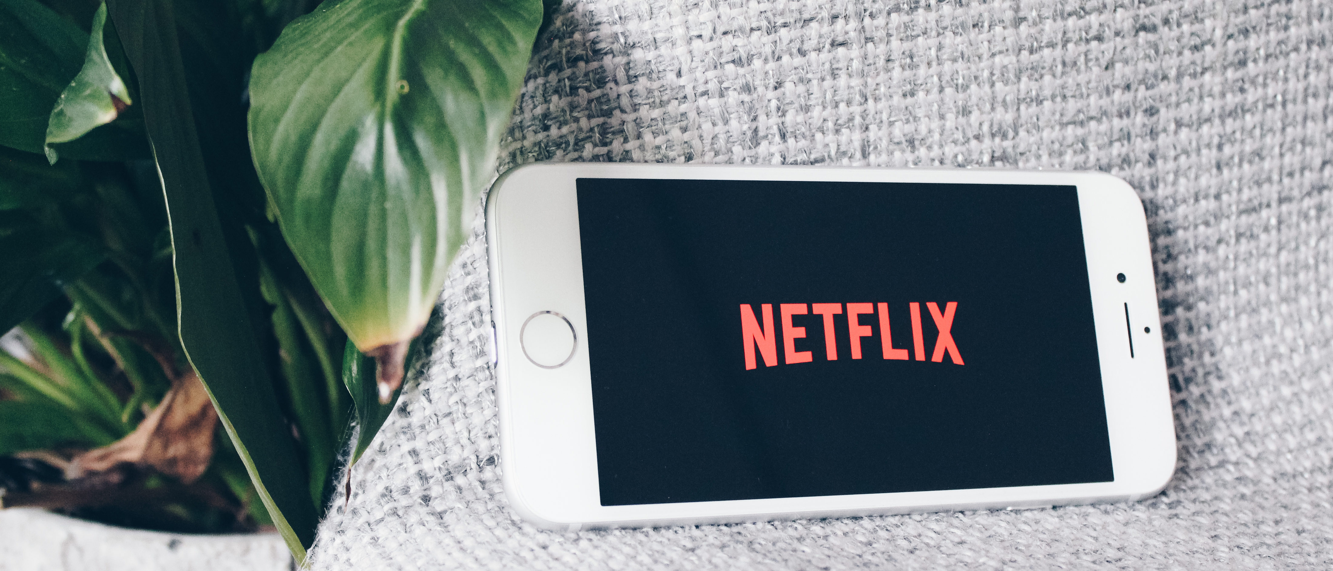 Netflix Subscribers Run For The Exit After Co-Founder Donates $7 Million To Harris Campaign