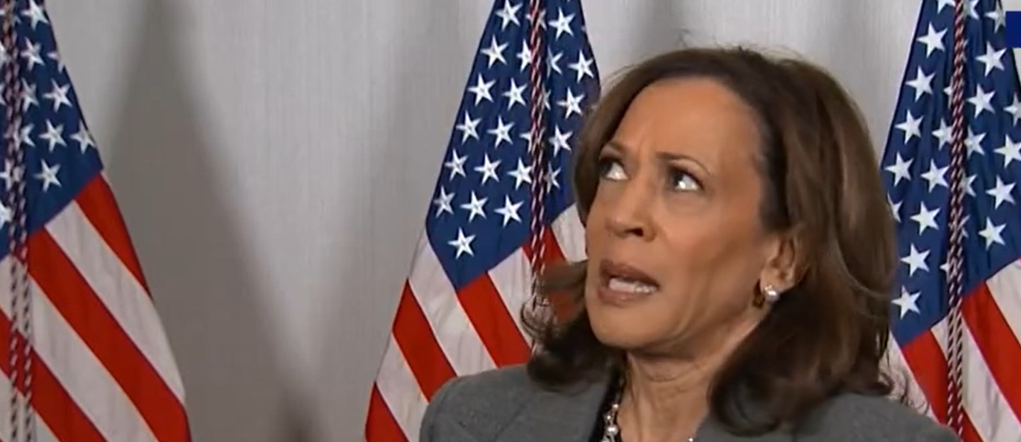 ‘Little Worried’: Fmr Obama Advisor Raises Concerns That Harris’ Closing Message Could Alienate Swing Voters 