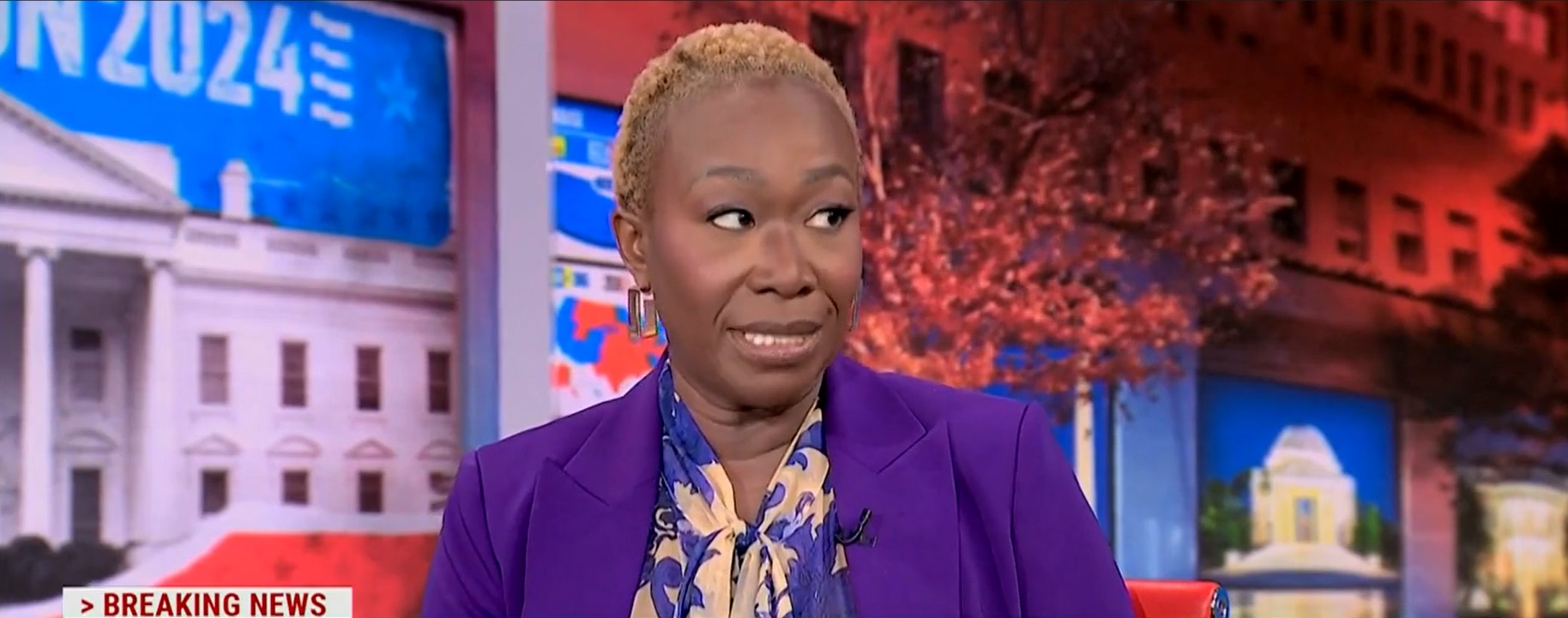 ‘Openly Fascist’: MSNBC Host Rages At Ron DeSantis After Florida Abortion Amendment Fails