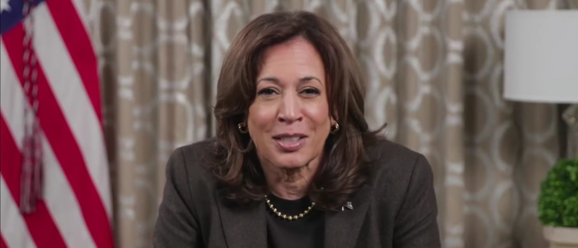 ‘I Just Have To Remind You’: Kamala Harris Appears Disheveled In First Appearance Since Election Loss