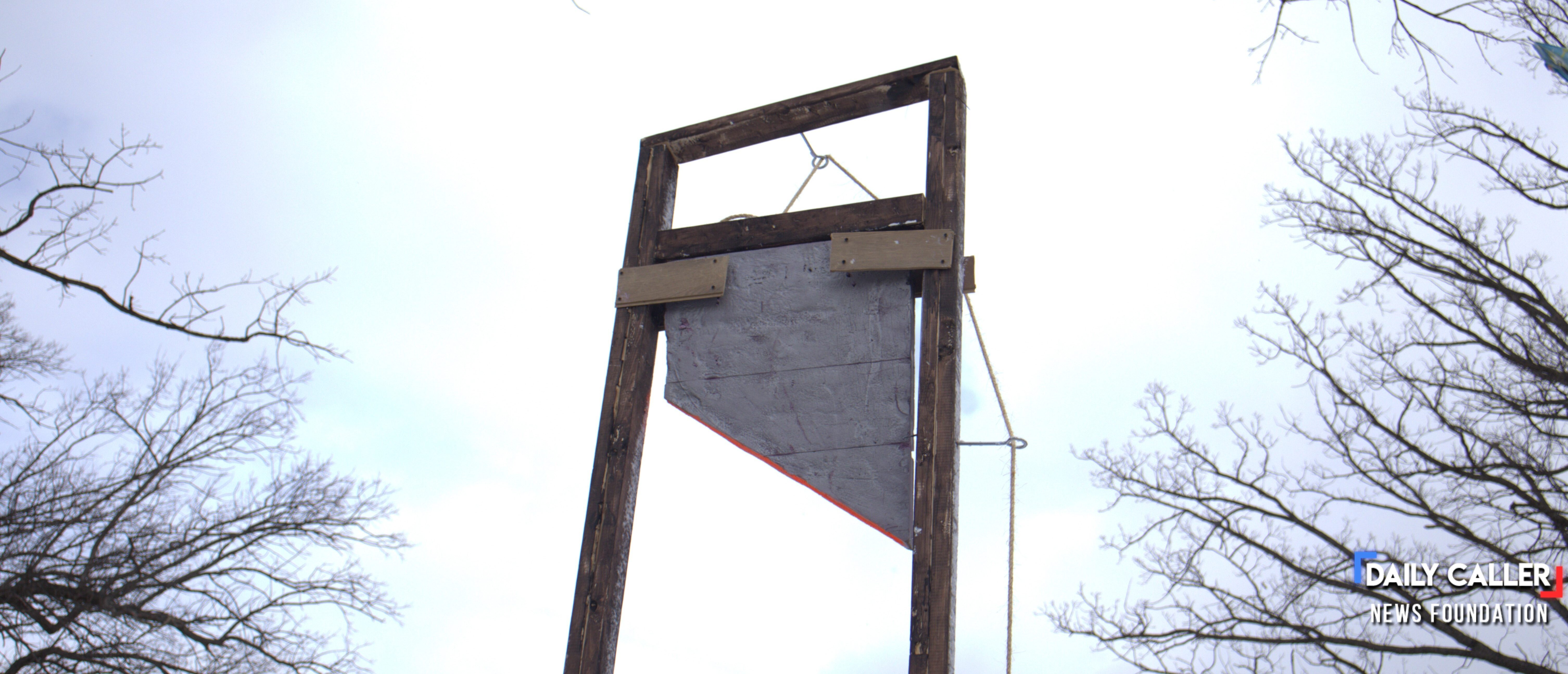 Anti-Trump Protesters Parade Bloody Guillotine Through DC During Inauguration