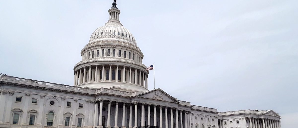 Jessica Rodriguez Rivas/Wikimedia Commons