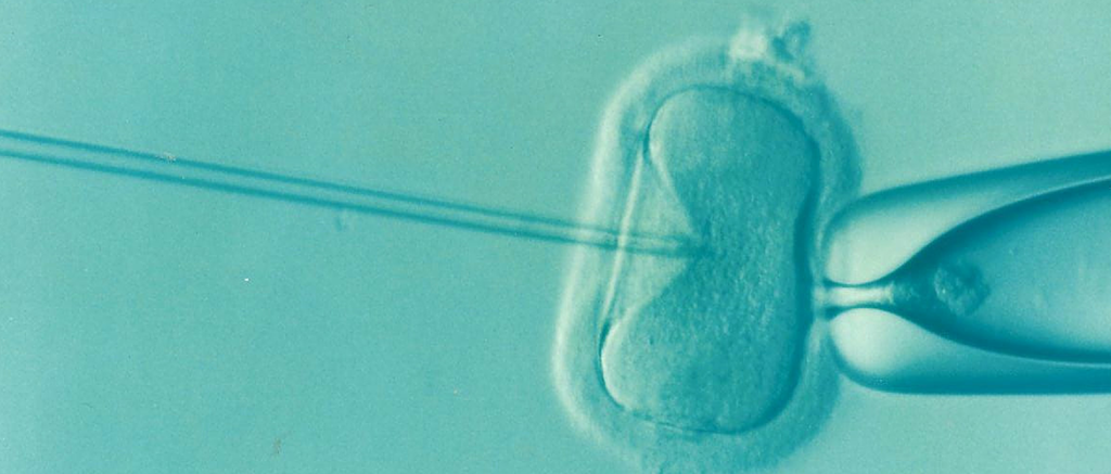 ‘You Can Even Name Your Embryo’: Genetics Startup Sells Test To Rank Embryos By IQ, Height And Looks