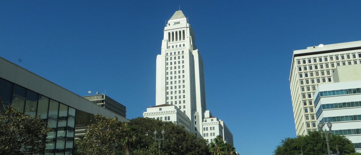 Take A Look At The Newest List Of Illegals ICE Nabbed In Riot-Plagued Los Angeles