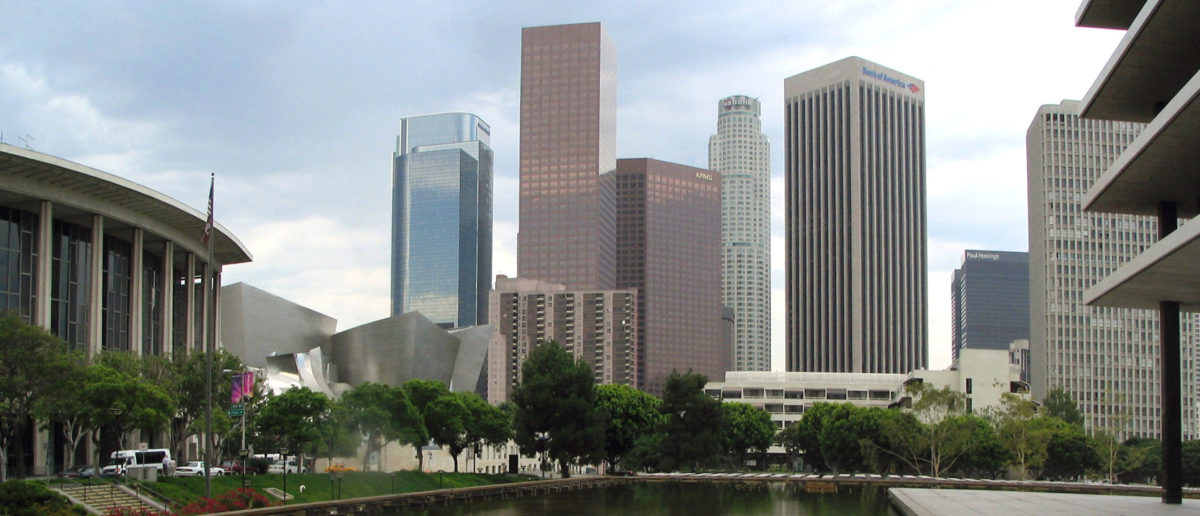 Trump DHS Lists More Criminal Illegals It Nabbed In LA Raids