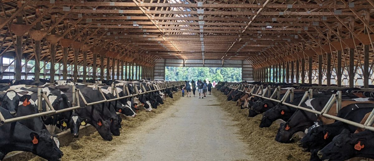 White Wisconsin Dairy Farmer Sues USDA For Holding Out On Axing Biden-Era DEI Programs