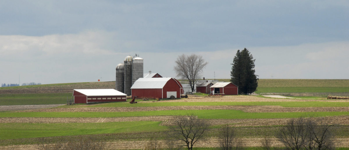 ‘No Safe Spaces’: DHS Says Illegal Migrants Working On Farms, Hotels Still Fair Game For Deportation