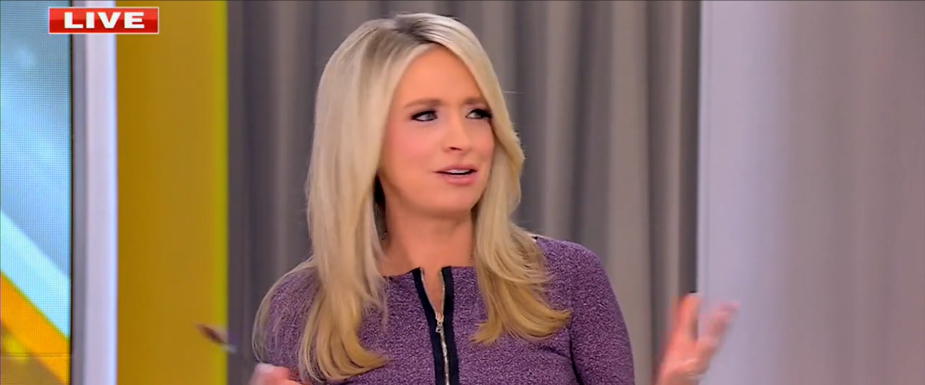 Kayleigh McEnany Points Out What Arrested Dems Pulling ‘Stunts And Tomfoolery’ Have In Common