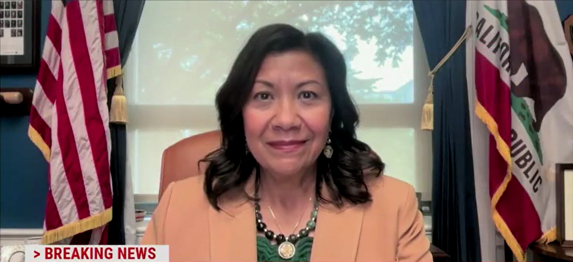 Dem Rep Demands Trump Admin Pander To Foreign Flag-Waving Rioters