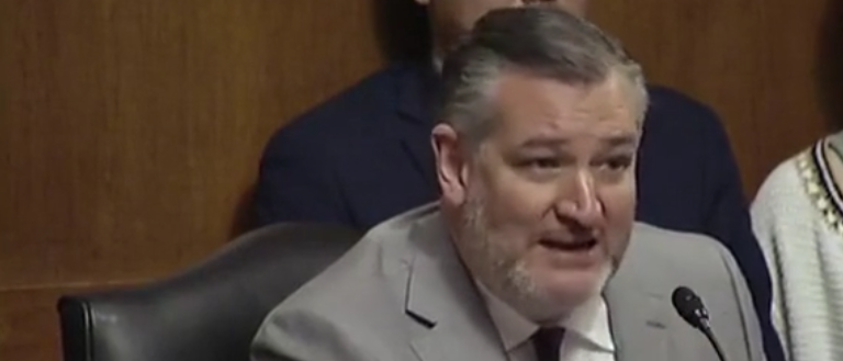 Ted Cruz Shreds Witness Who Wants Oil Execs Jailed For ‘Homicide’