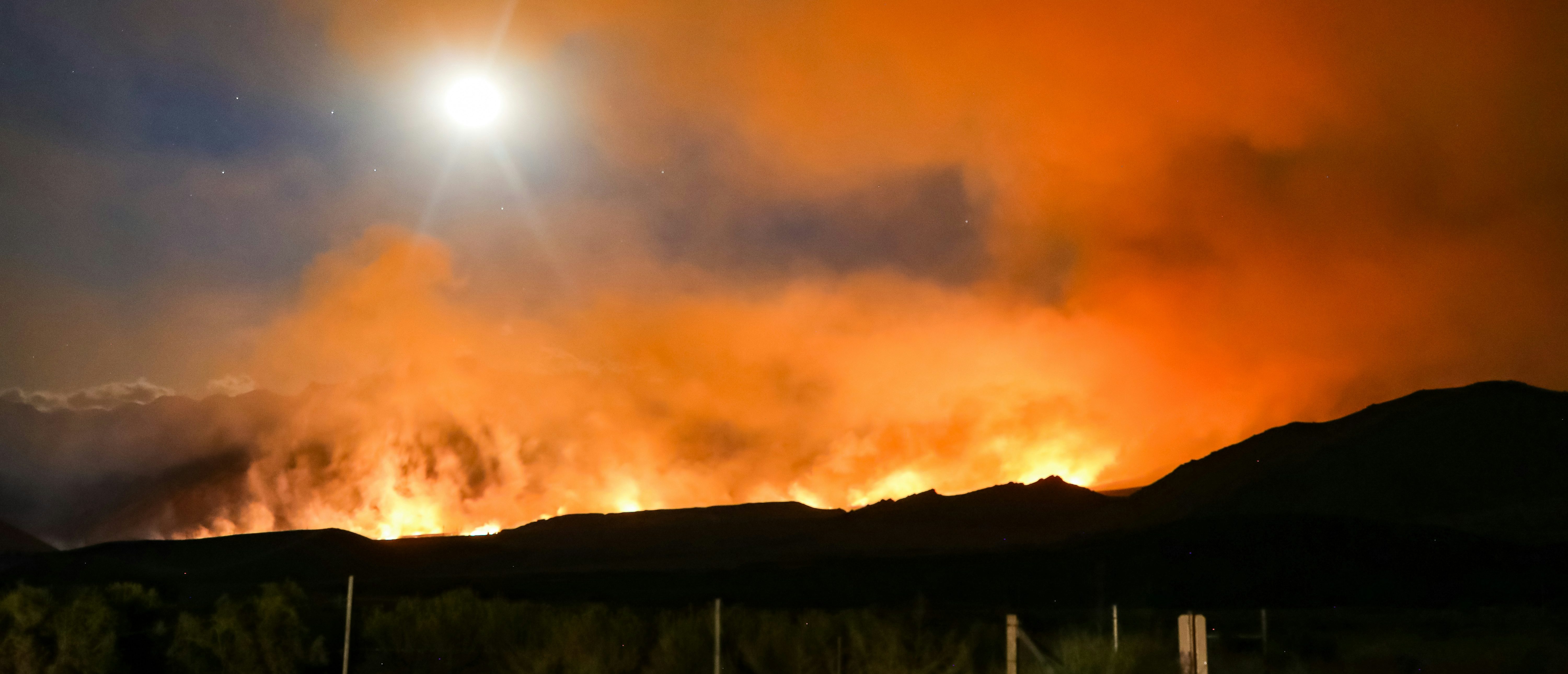 California Dems Blame Wildfires On Trump After Their Party Created Tinderbox Of Regs