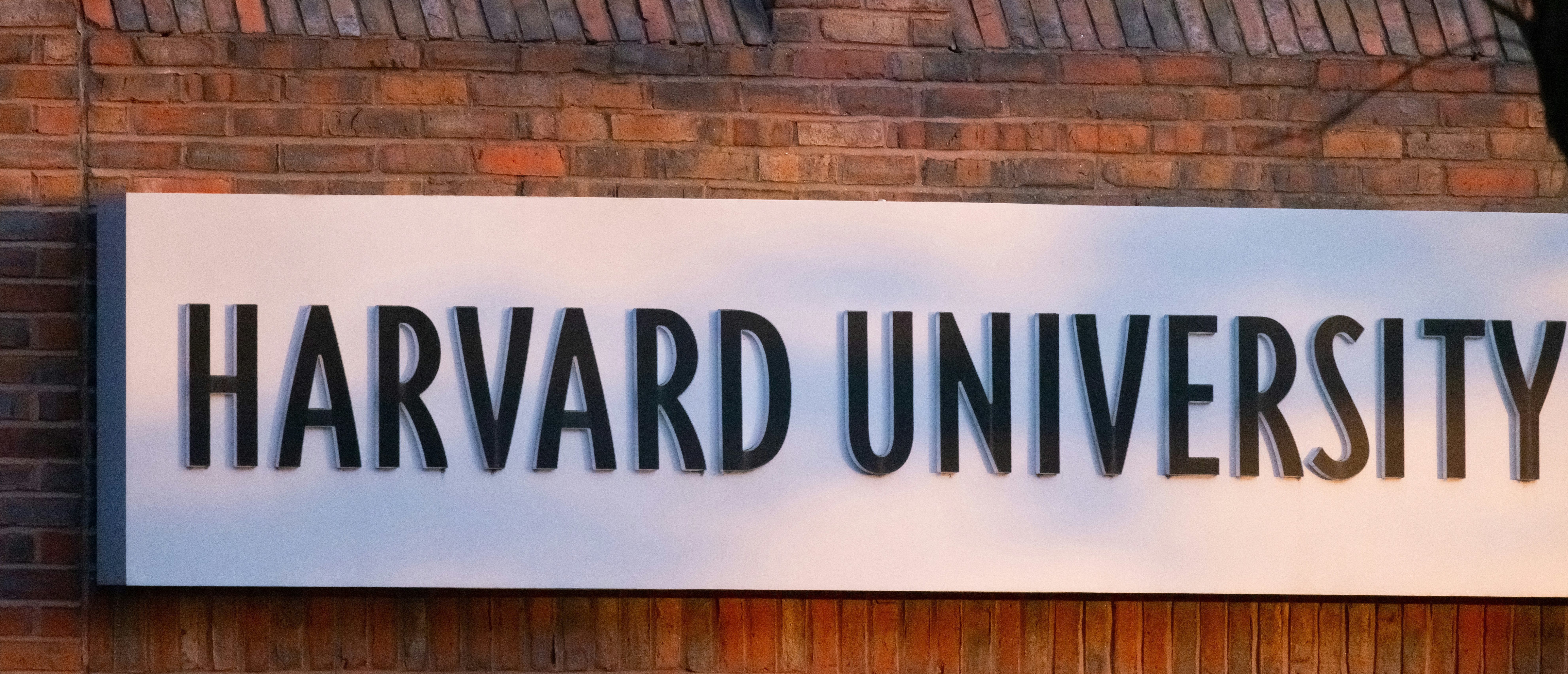 Harvard Speaker With CCP-Linked Family Denies Nepotism Got Her Into Ivy League