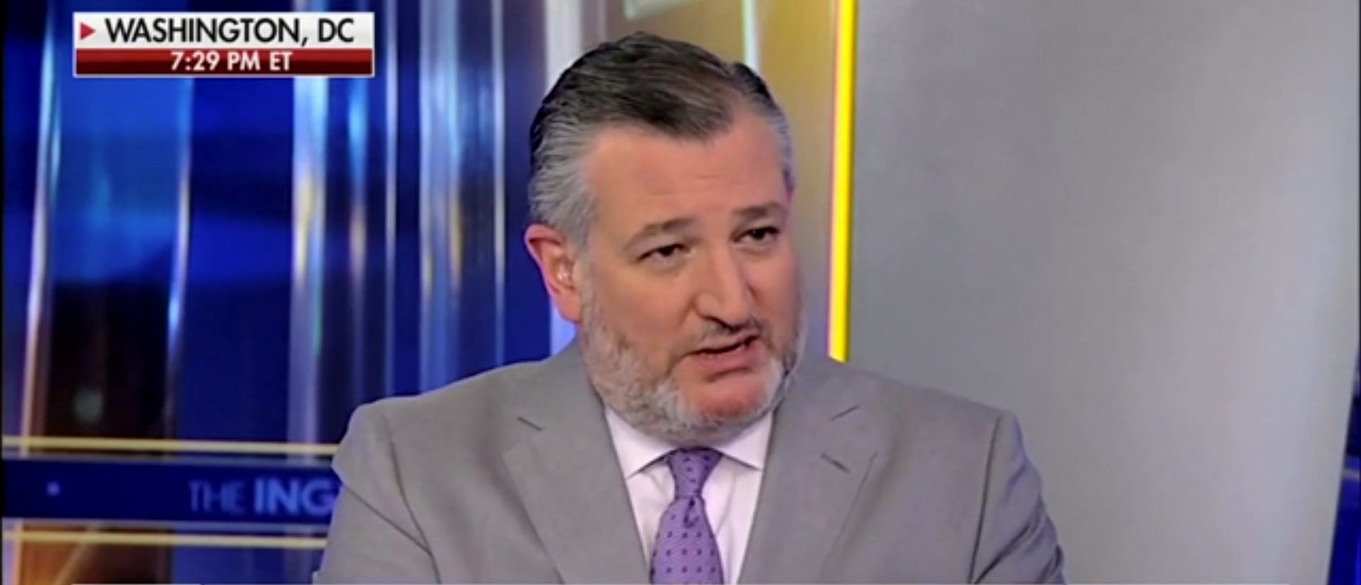 Ted Cruz Explains Why Obama's Immunity As President Isn't Absolute (Screenshot/Fox News)