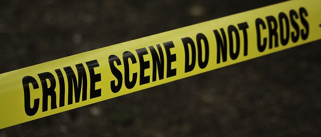 Kat Wilcox, CC0, via Wikimedia Commons