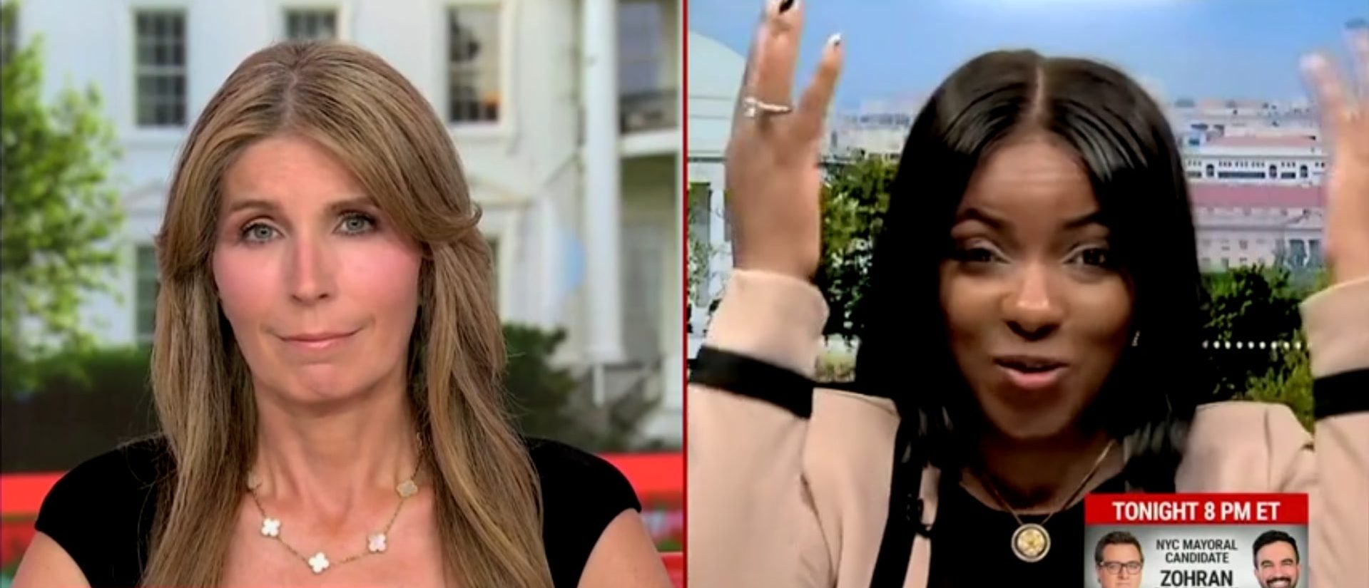 Jasmine Crockett's Record This Year Alone Suggests She Is The Conspiracy Theorist She Denies Being (Screenshot/MSNBC)