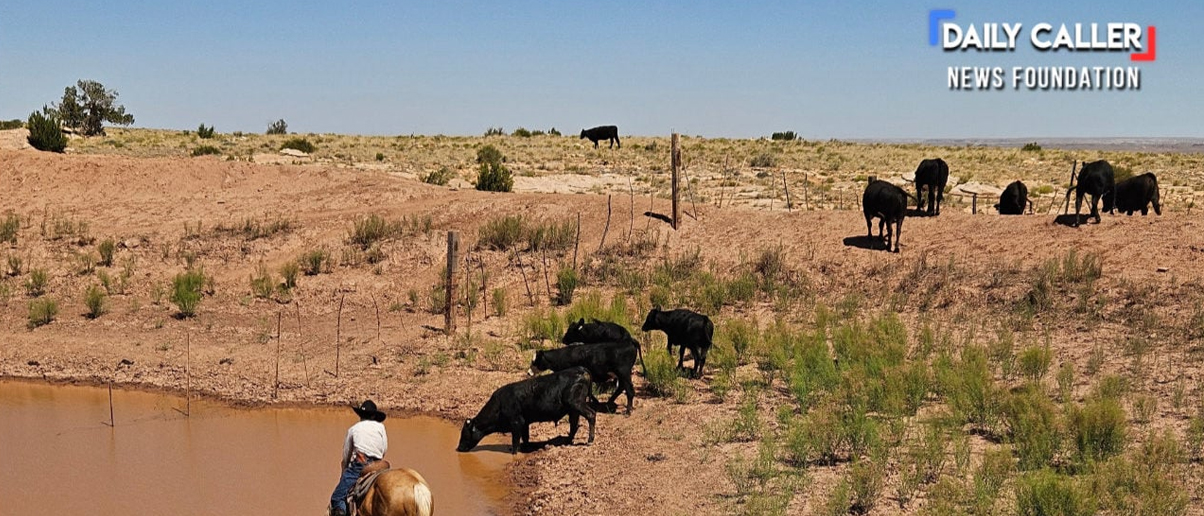Ranch/via Arizona Rancher Kiley Reidhead