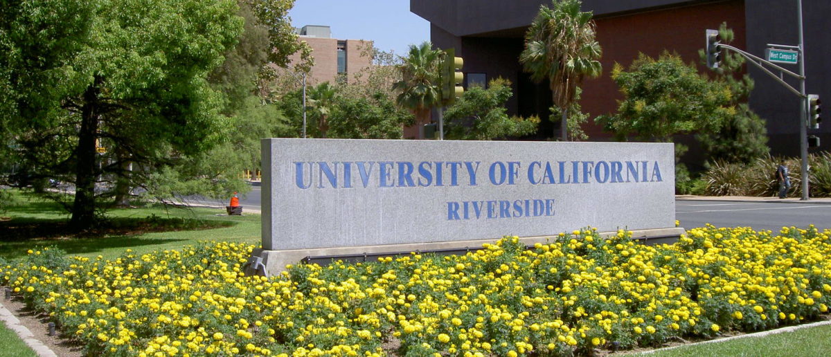 University System Begs State For $5 Billion After Getting Cut Off By Trump