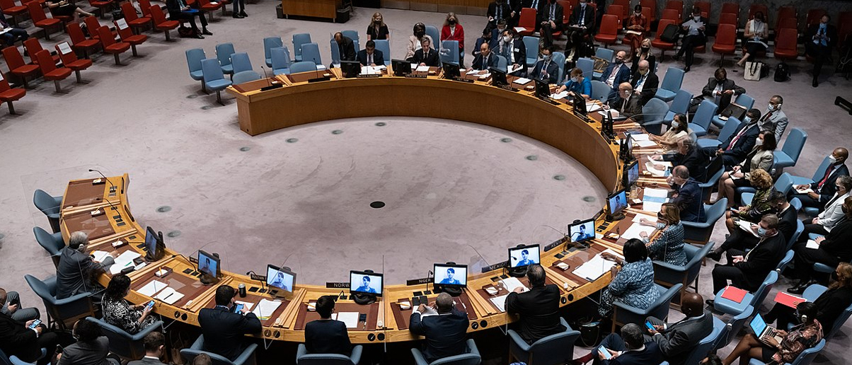 UN Security Council