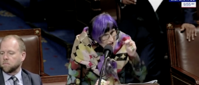 Purple Haired Dem Spends Over A Minute Shrieking At Republicans Over Healthcare