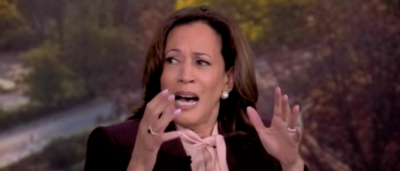 Kamala Harris Says Her Grief From Losing To Trump Compared To The Day Her Mother Died