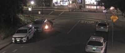 Left-Wing ‘Terrorist’ Firebomber Miserably Fails To Win Soft Sentence From Bush-Appointed Judge