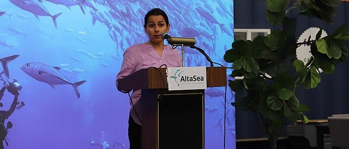 TonopahNV, CC BY-SA 4.0 , via Wikimedia Commons