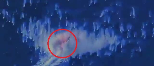 Trump Admin Blows Up Another ‘Narco-Trafficking’ Boat Near Venezuela