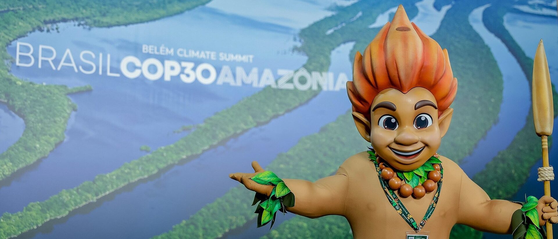 UN Official Orders Brazil To Get It Together Over Absolute Climate Fest Dumpster Fire