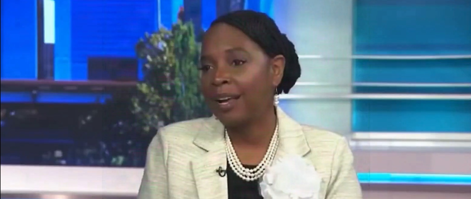 Elected Dem Busted For Allegedly Breaking Into Car