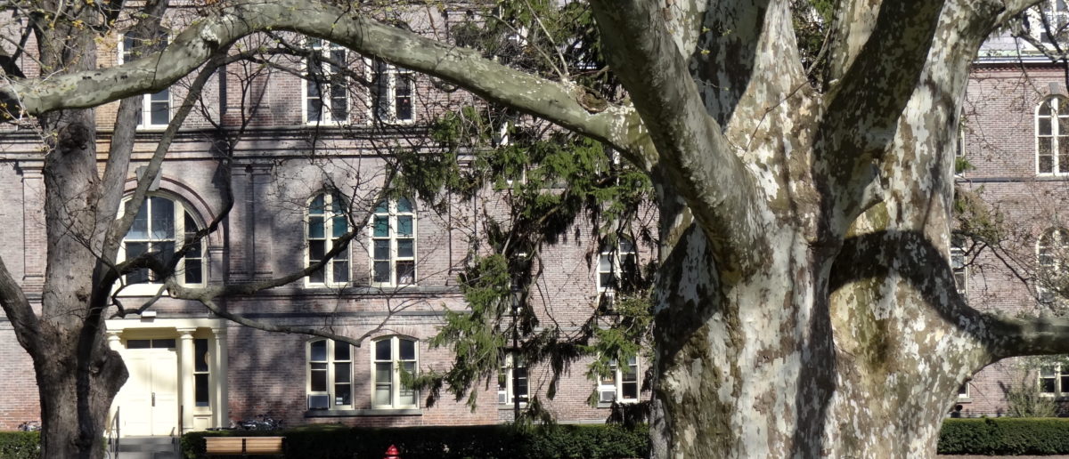 Student Group Wants To Learn From Marxist Terrorist Org’s ‘Example’