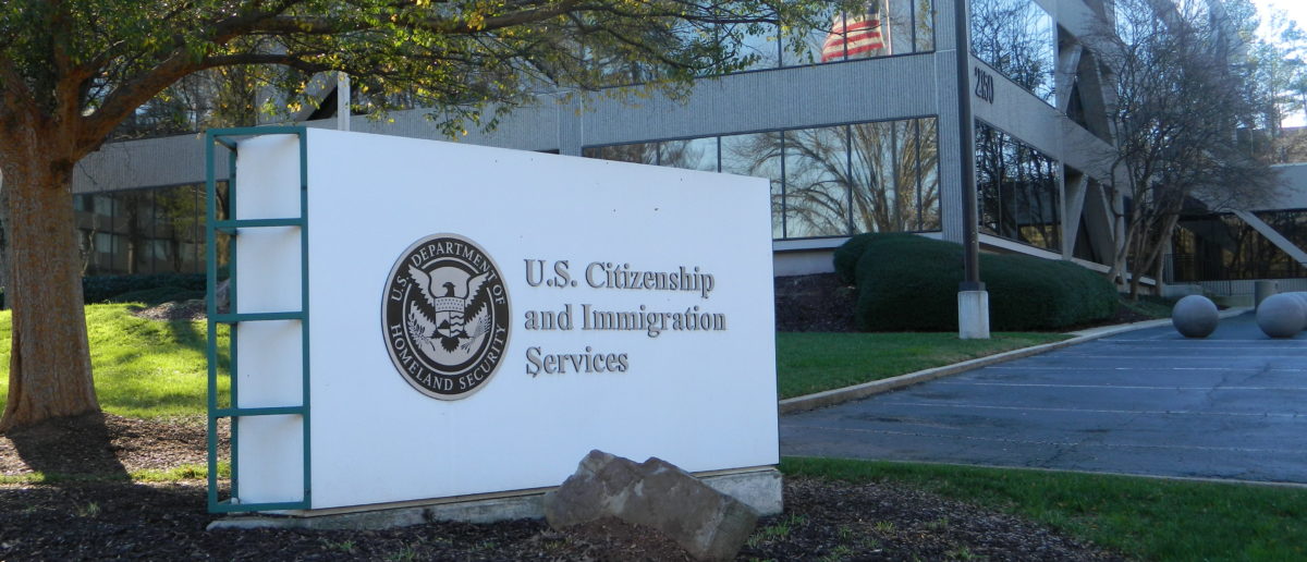 EXCLUSIVE: New Trump Admin Rules To Weed Out Migrants Defrauding Domestic Abuse Benefits