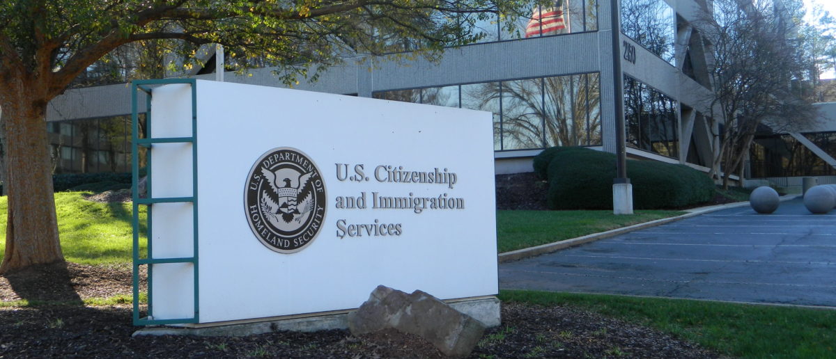 Trump Admin Escalating Denaturalizations Of Americans Who Fraudulently Scored Citizenship