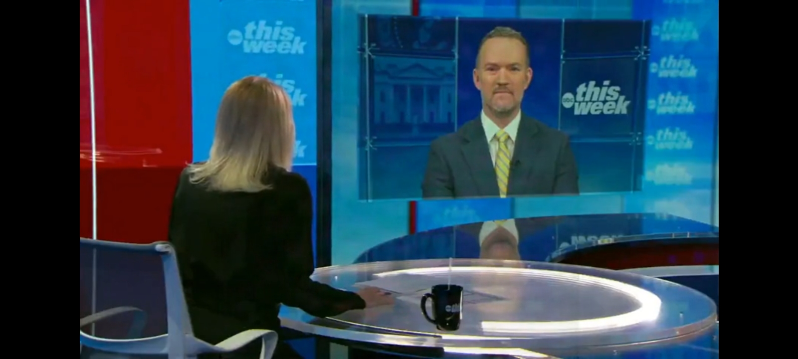 Martha Raddatz and USTR Jamieson Greer [Screenshot/Rumble/ABC]