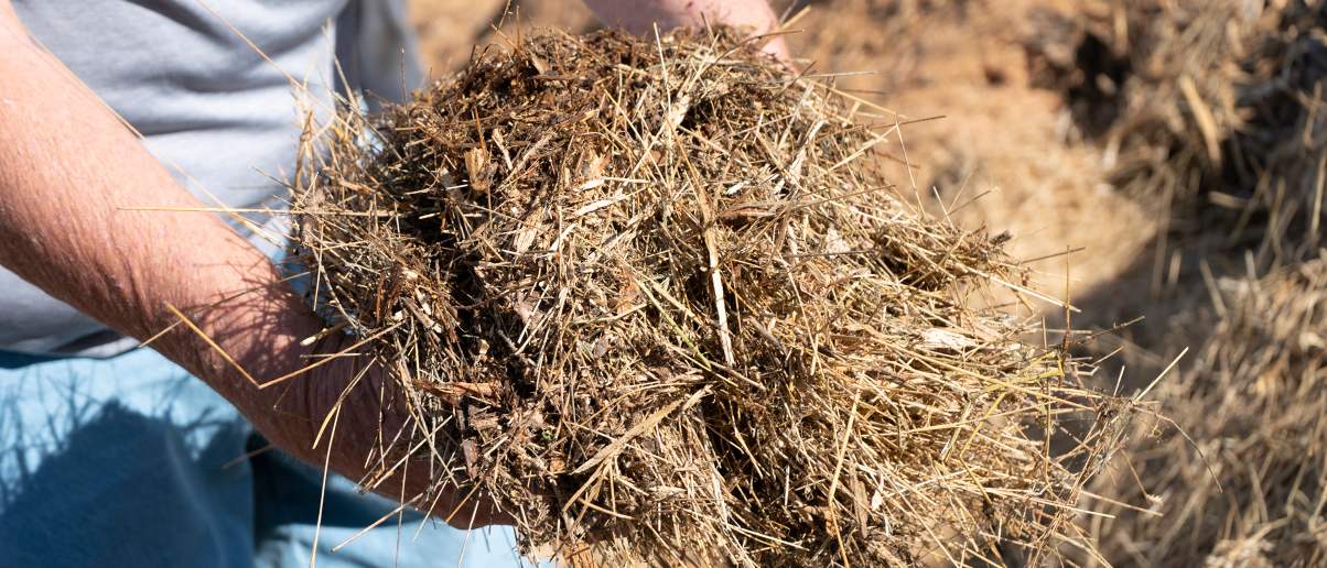 Oklahoma Advances Bill To Turn Dead Humans Into Actual Fertilizer