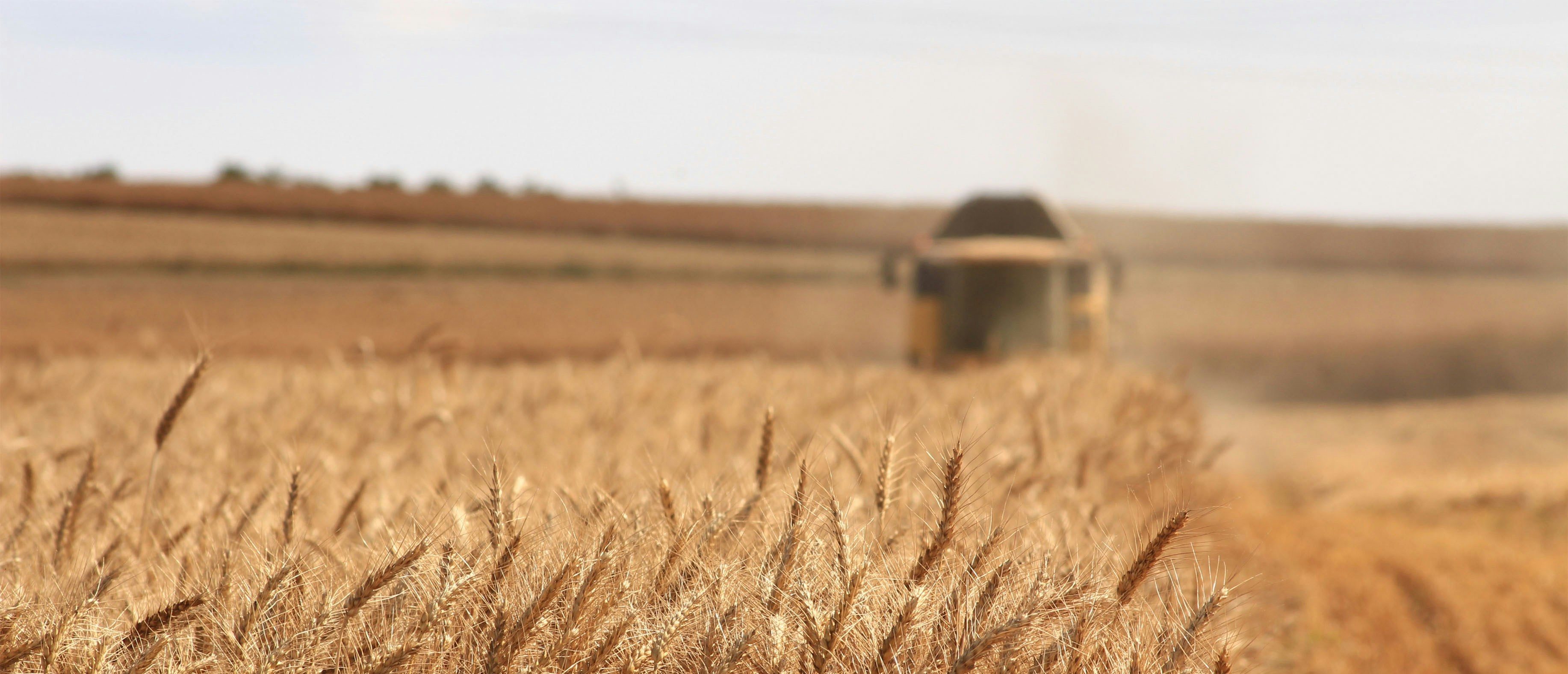 STEVE MILLOY: Roundup The Junk Science To Save Glyphosate