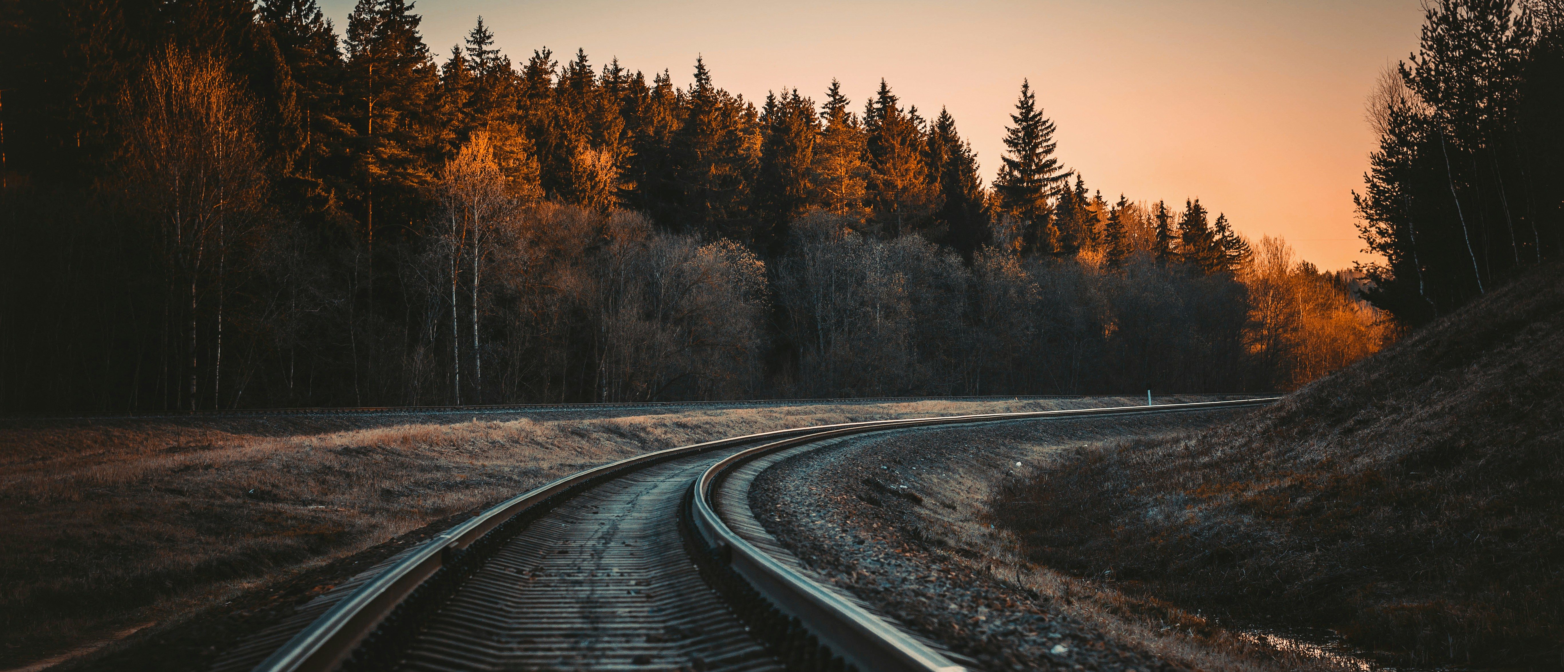 Unsplash/Irina Iriser