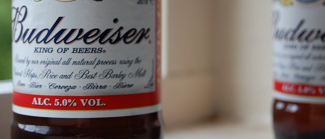 Supreme Court Takes Case Of Man Who Says State Tried To Snatch Plane Over Beer